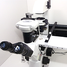 Langmuir Blodgett System